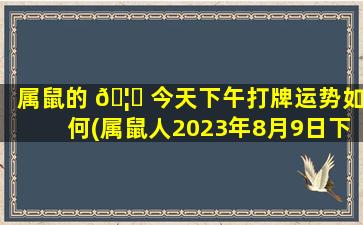 属鼠的 🦄 今天下午打牌运势如何(属鼠人2023年8月9日下 🐎 午*
财运)